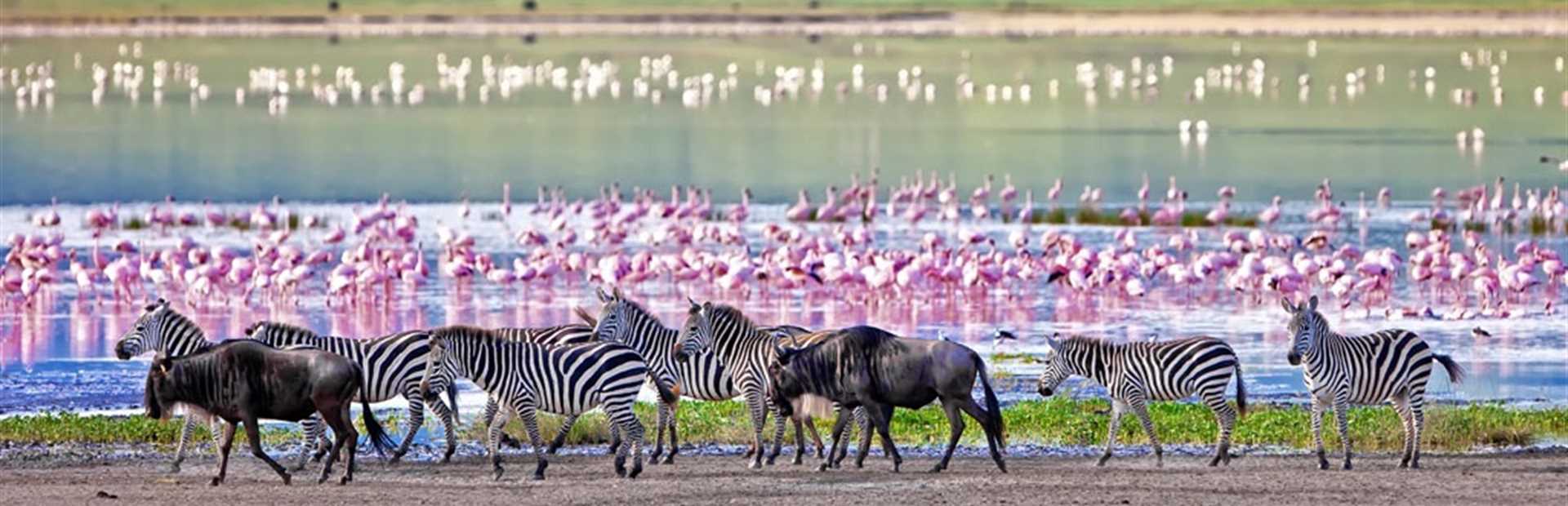 Ngorongoro Crater